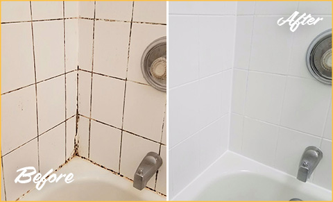 https://www.sirgroutfairfield.com/images/p/g/1/tile-grout-cleaners-moldy-bathtub-480.jpg