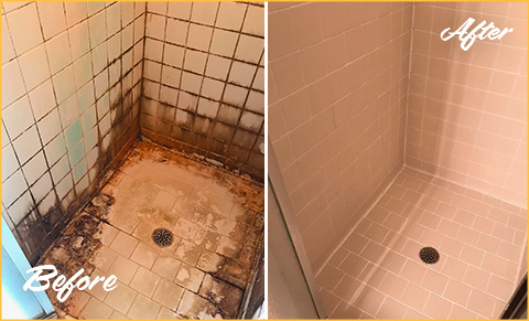 Tile and Grout Cleaners in Ridgefield Restore the Condition of This Shower